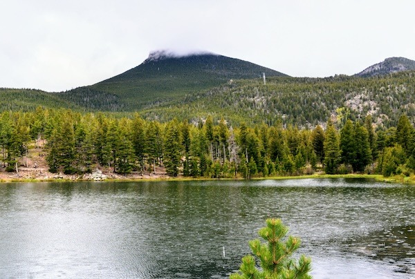 Exploring Rocky Mountain National Park with Kids: 4 lily lake rnmp