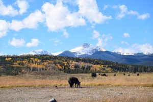 fall-colors-granby
