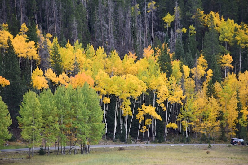 Fall in Granby, Colorado 1 granbyfall
